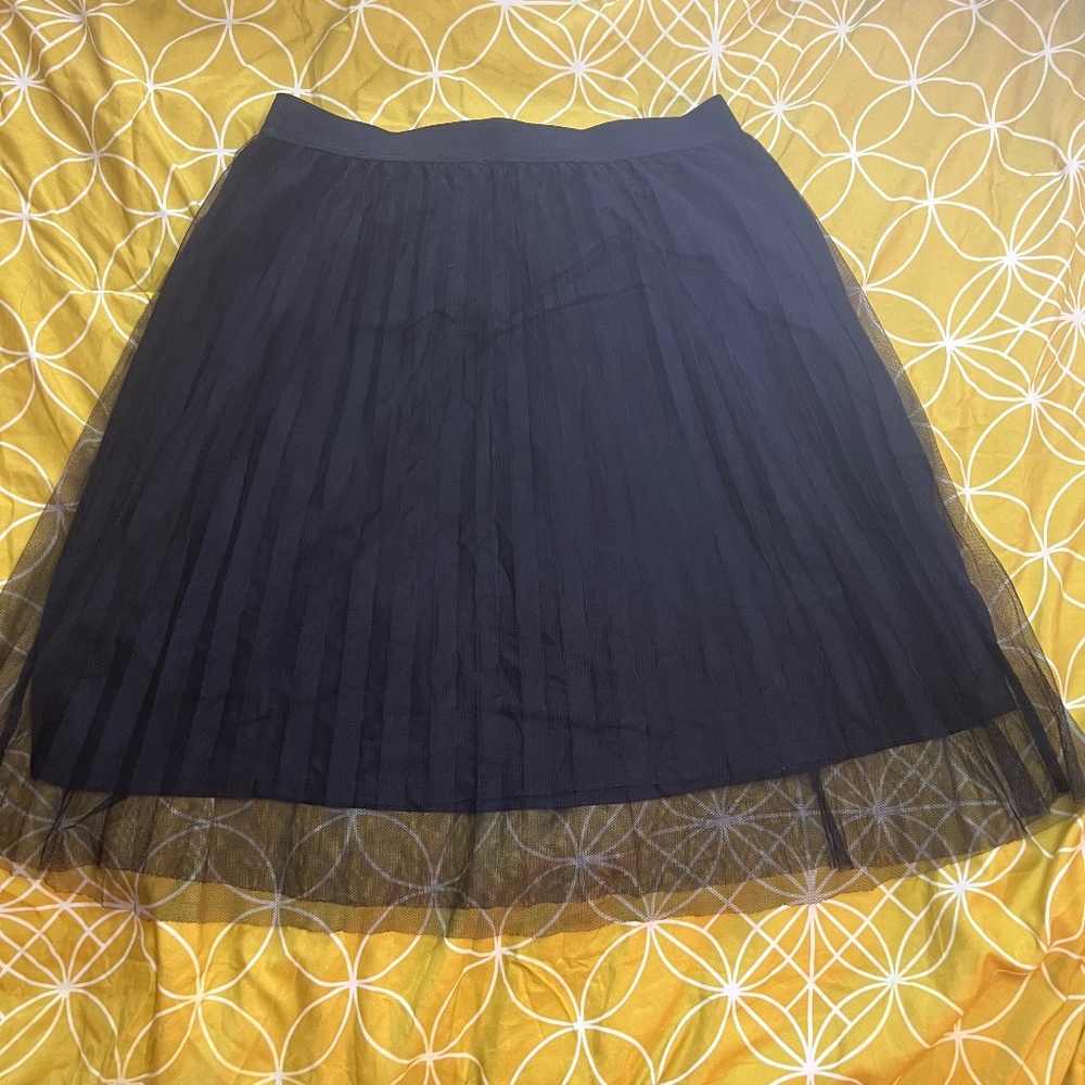 Sheer pleated skater skirt